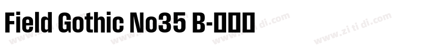 Field Gothic No35 B字体转换